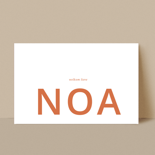 Geboortekaartje Noa